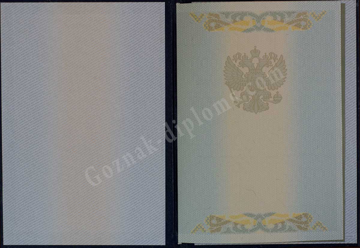 Диплом специалиста 2004-2008